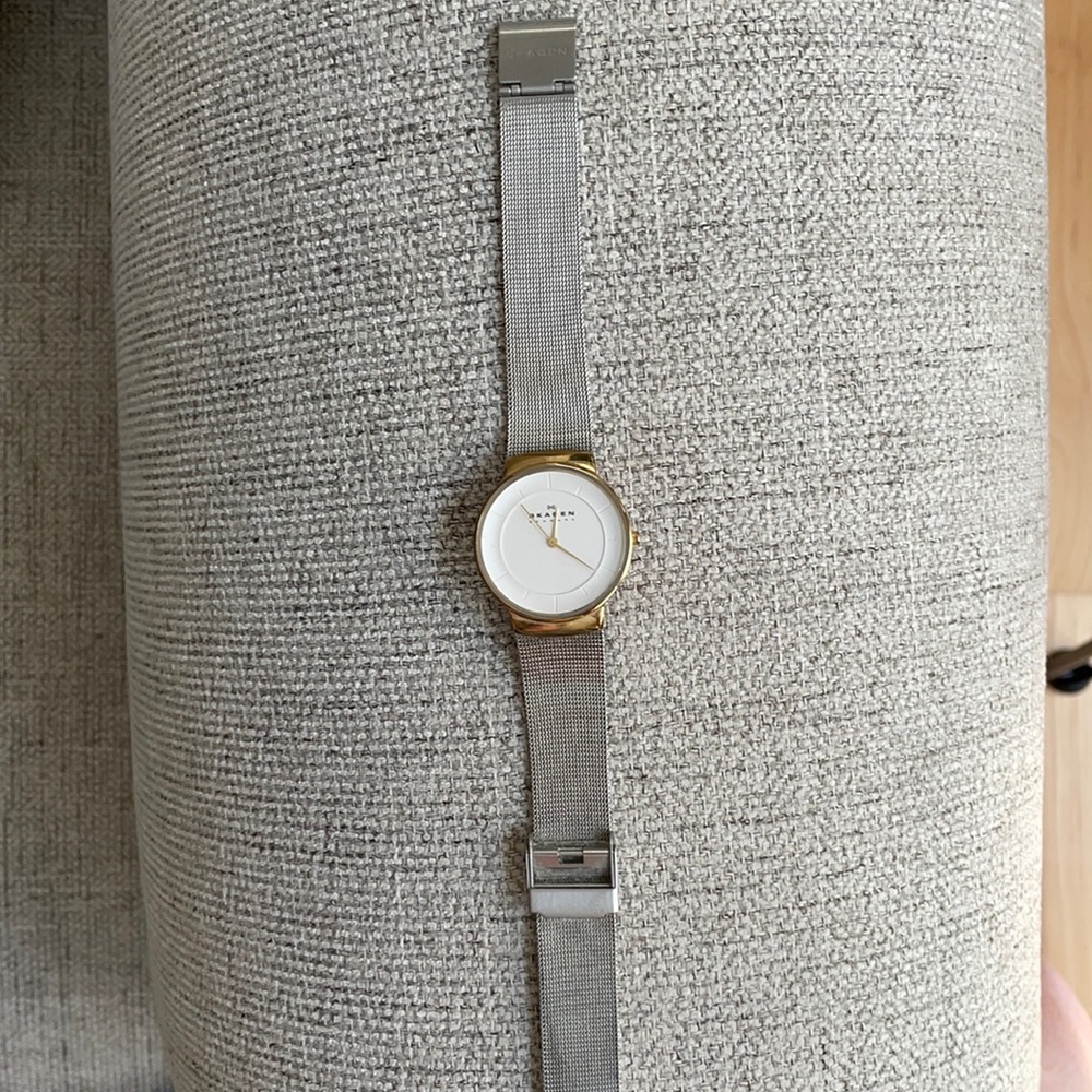 Skagen stainless steel 2 tone watch